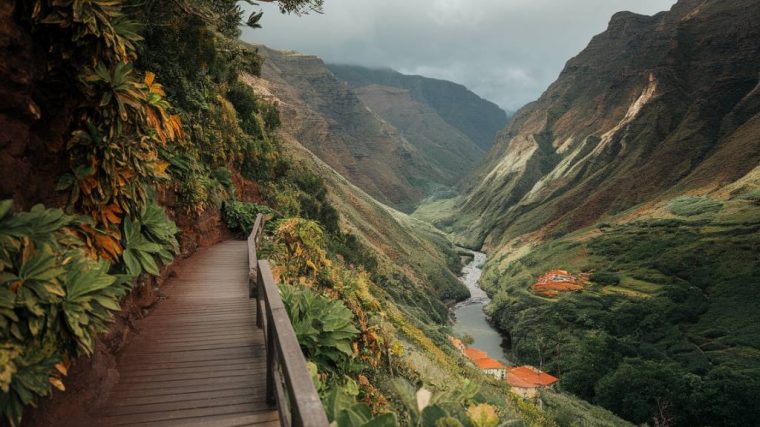 Wandern in Madeira: die schönsten Routen und Landschaften