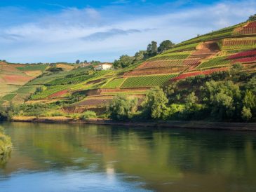 Die Douro-Region: Weinreisen in Nordportugal