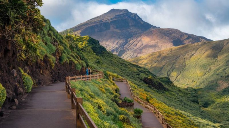 Madeira: die schönsten Wanderwege und Aussichten erleben